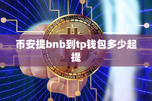 币安提bnb到tp钱包多少起提