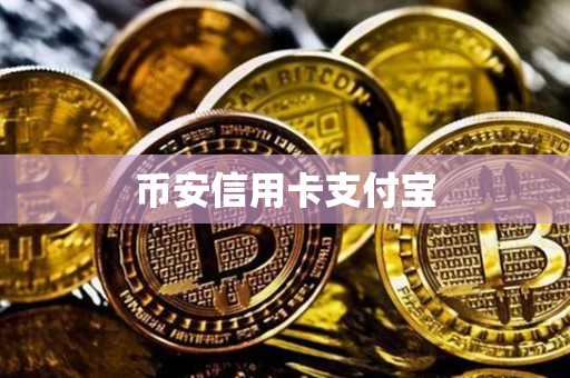 币安信用卡支付宝