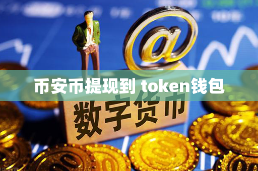 币安币提现到 token钱包