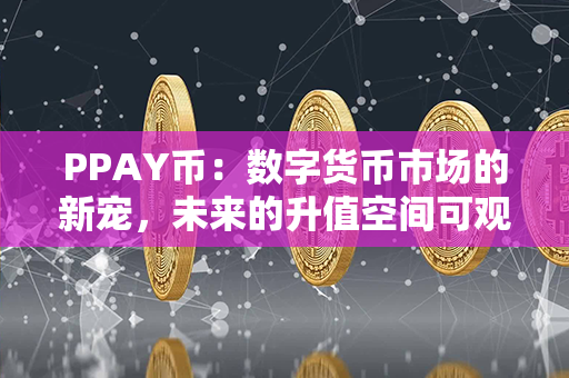 PPAY币：数字货币市场的新宠，未来的升值空间可观！