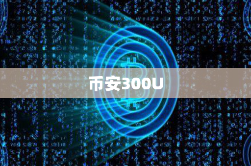 币安300U